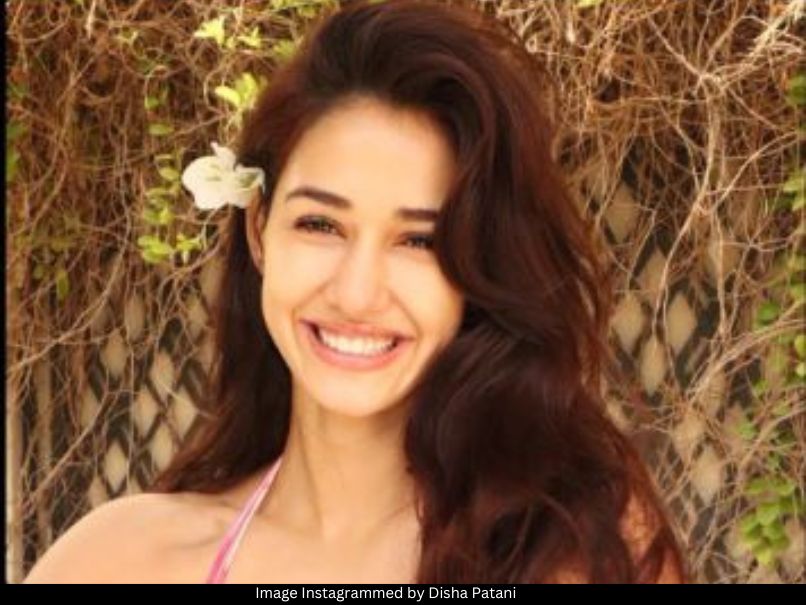 Disha Patani 