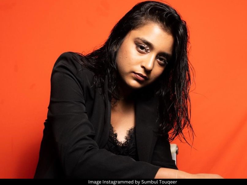 Sumbul Touqeer photo