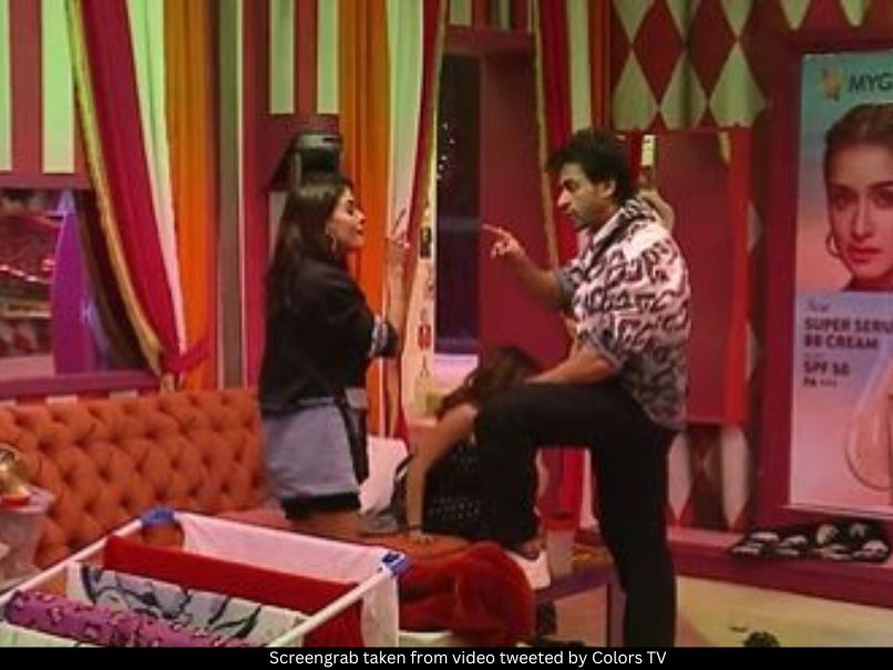 Priyanka Chahar Choudhary and Shalin Bhanot