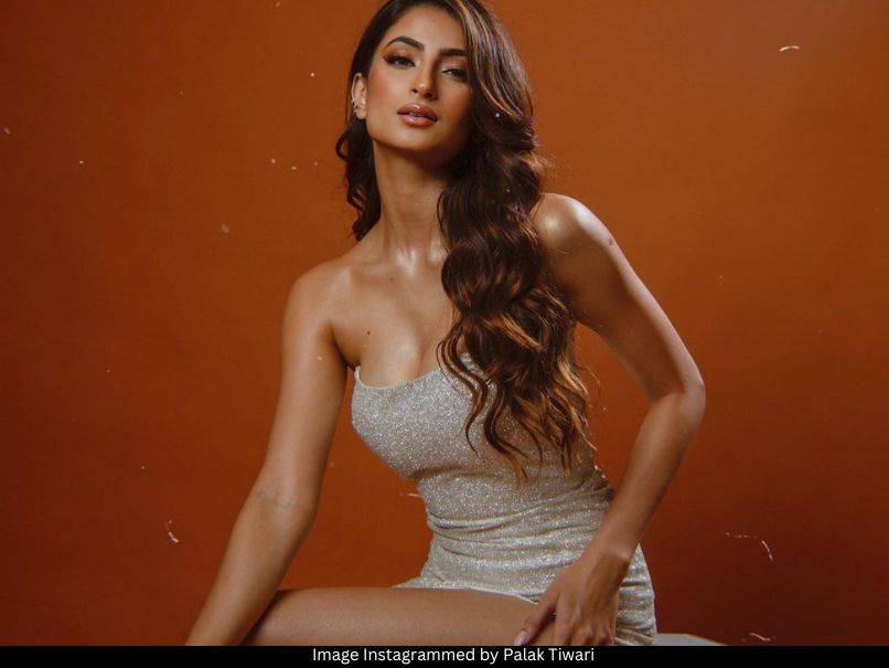 Palak Tiwari hot pic