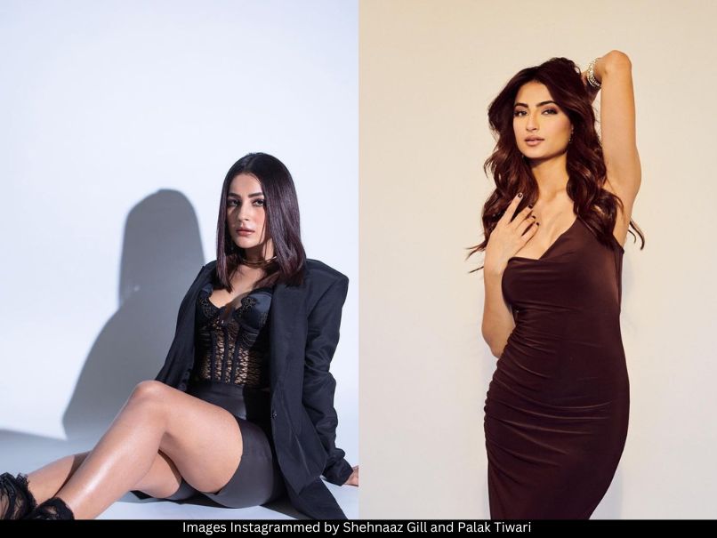 Shehnaaz Gill and Palak Tiwari 
