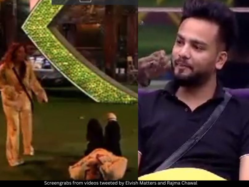 Abhishek Malhan and Elvish Yadav 