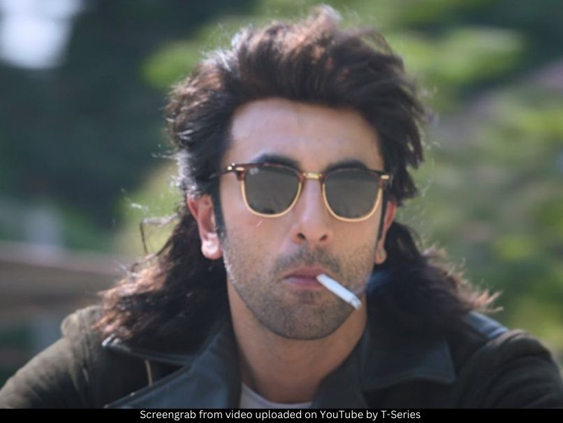 Ranbir Kapoor Animal 