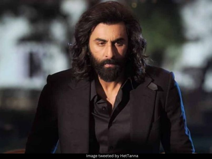 Animal, Ranbir Kapoor 