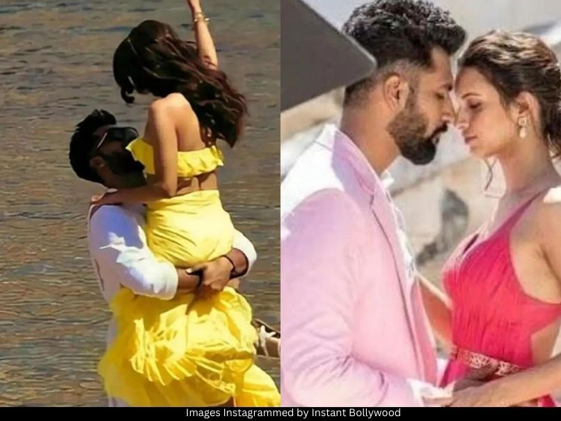 Vicky Kaushal and Triptii Dimri 