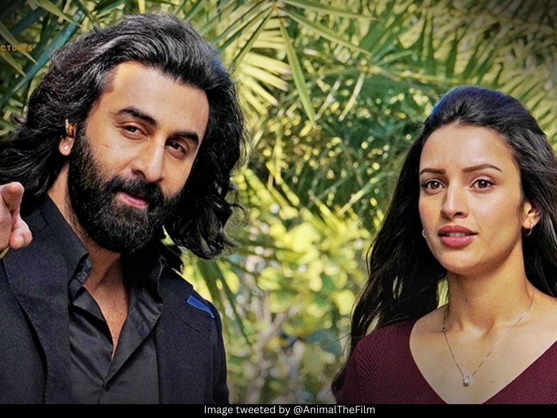 Ranbir Kapoor and Triptii Dimri 