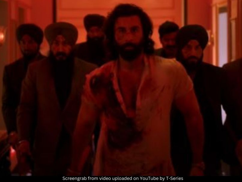 Ranbir Kapoor Animal 