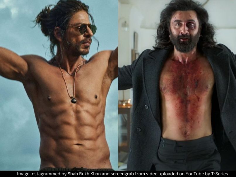 SRK and Ranbir Kapoor 