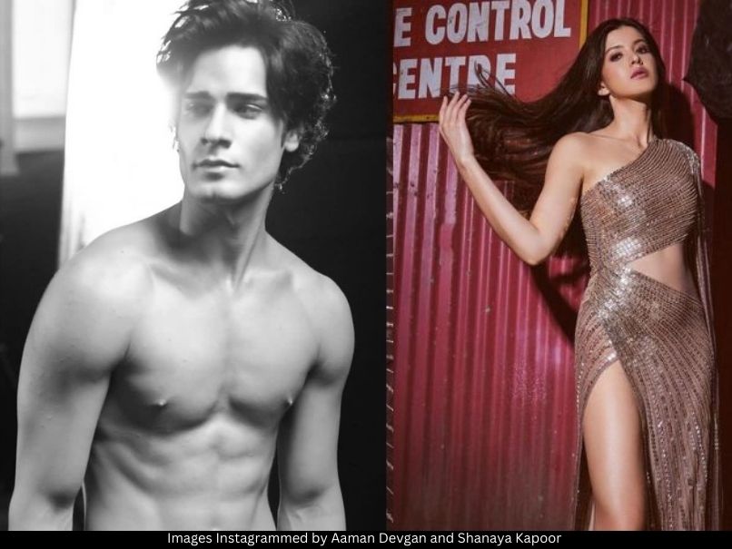 Aaman Devgan and Shanaya Kapoor 
