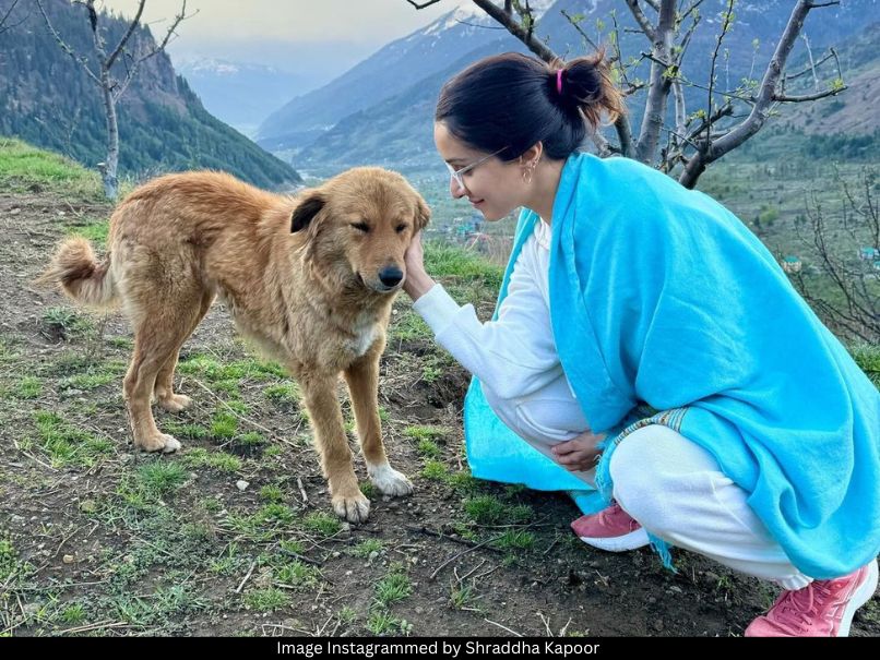 Shraddha Kapoor 