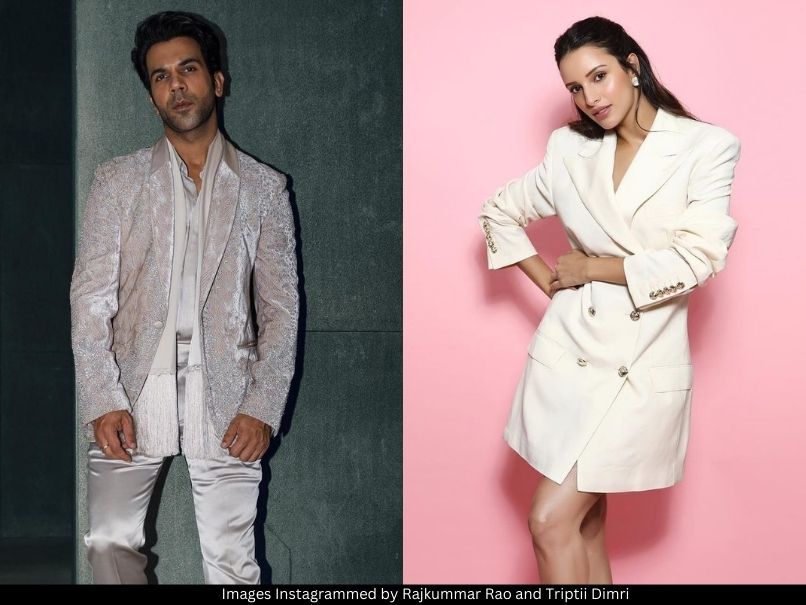 Triptii Dimri and Rajkummar Rao 