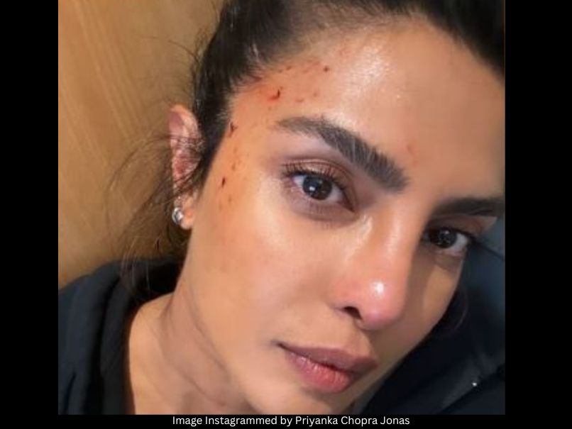 Priyanka Chopra Jonas 