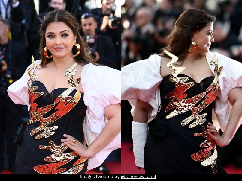 Aishwarya Rai Bachchan Cannes 