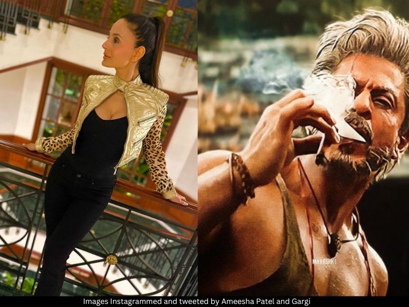 Ameesha Patel and SRK 