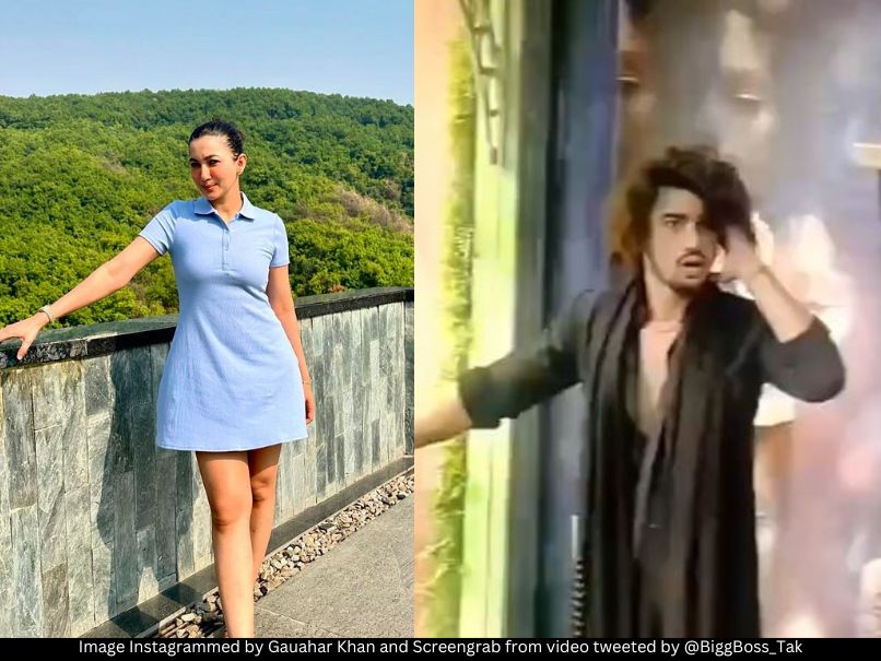 Gauahar Khan Vishal Pandey