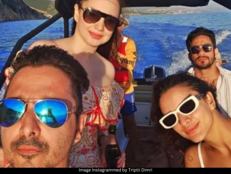 Triptii Dimri Sam Merchant