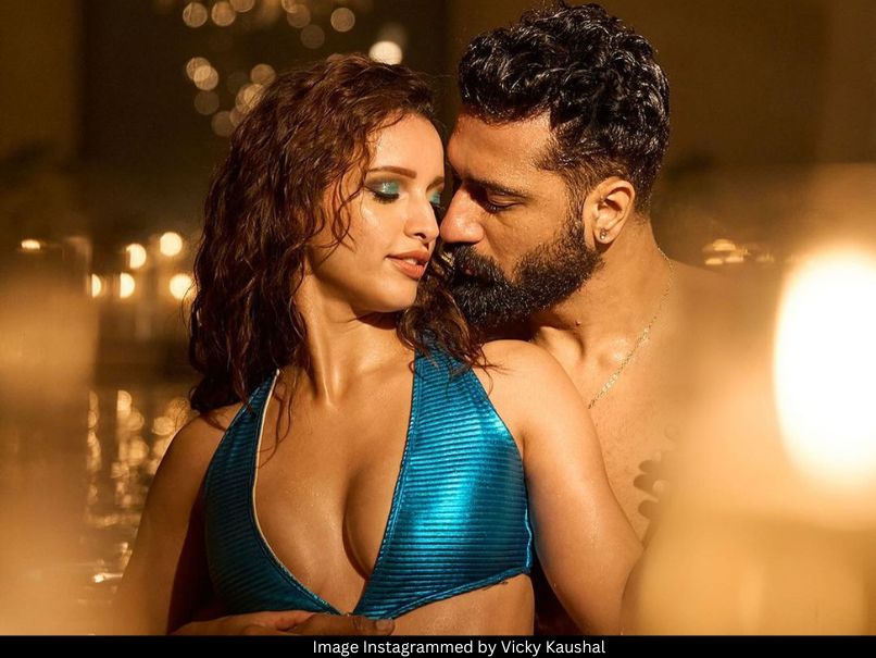 Triptii Dimri and Vicky Kaushal 