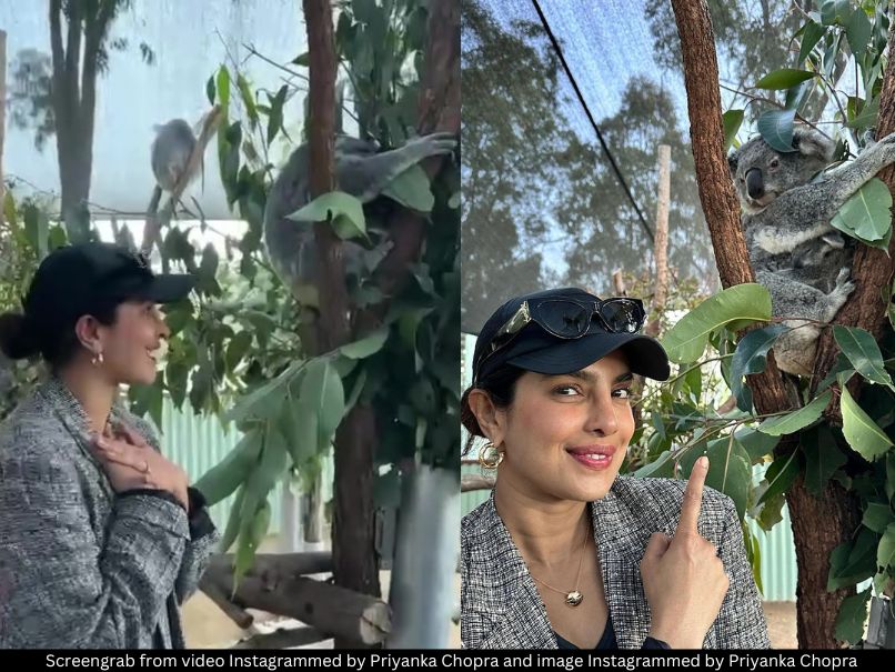 Priyanka Chopra koala 