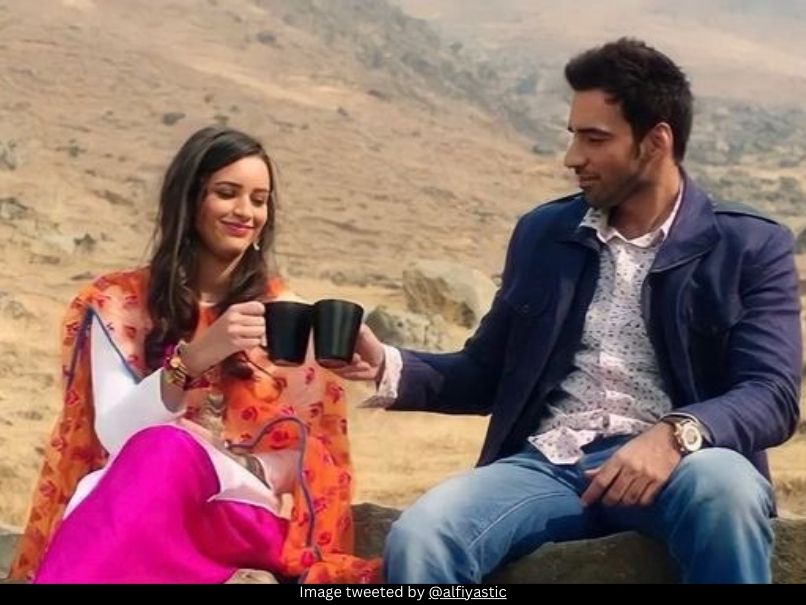 Triptii Dimri and Avinash Tiwary 