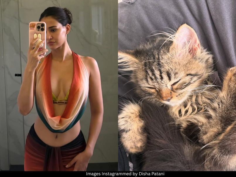 Disha Patani