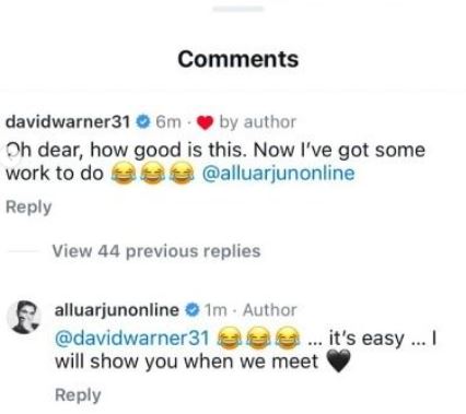 Allu Arjun David Warner 