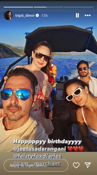 Triptii Dimri IG Story