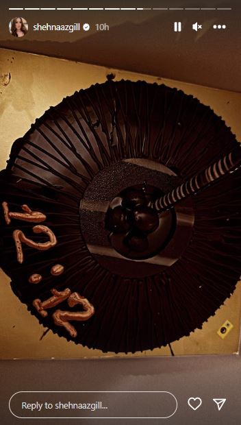 Shehnaaz Gill's Instagram Story