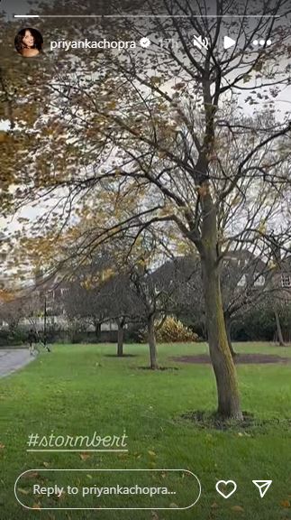 Priyanka Chopra Insta Story