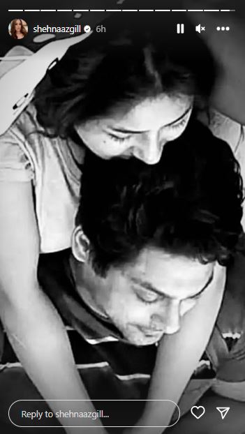 Shehnaaz Gill's Instagram Story