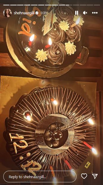 Shehnaaz Gill's Instagram Story