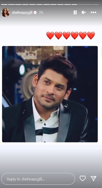 Shehnaaz Gill's Instagram Story