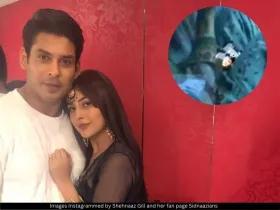 Shehnaaz Gill and Sidharth Shukla