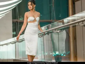 Tejasswi Prakash pic