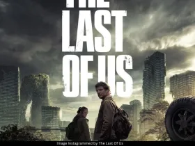 The Last Of Us