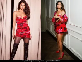 Vaani and Alia in same dress