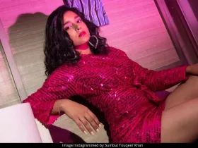 Sumbul Touqeer Khan photo