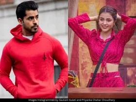 Priyanka Chahar Choudhary and Gautam Gulati pic