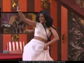 Sumbul Touqeer Khan last dance in BB