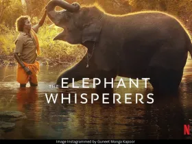 The Elephant Whisperers 