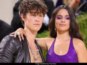 Camilla and Shawn Mendes 