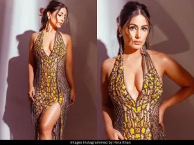 Hina Khan 