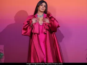 Priyanka Chopra Jonas 