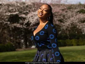 Meghan Thee Stallion 