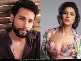 Sidhant Chaturvedi and Shehnaaz Gill 