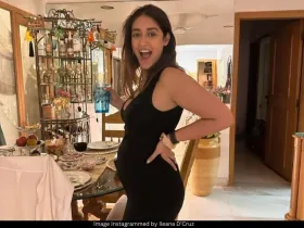 Ileana D'Souza 