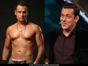 Rohit Roy Salman Khan 