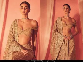 Ananya Panday 