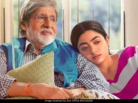Amitabh Bachchan and Rashmika Mandanna 