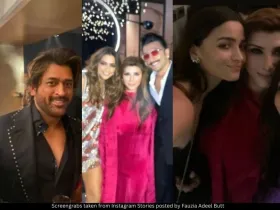 MS Dhoni Deepika Padukone Ranveer Singh Alia Bhatt