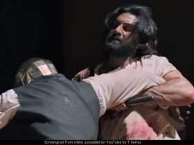 Ranbir Kapoor Animal BO collection 